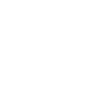 paradiseexim-footer-logo